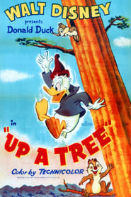 In cima all’albero (1955)
