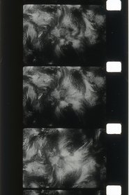 Poster The Or Cloud 2001