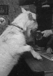 Beer-drinking Billy (1967)