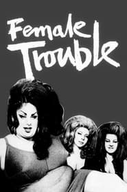 Female Trouble постер