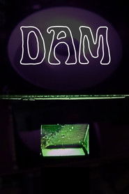 Dam