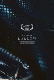 Poster Burrow