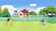Bluey: Christmas Cricket
