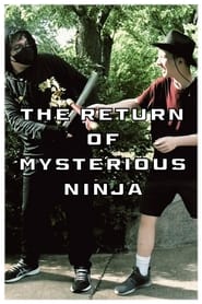 The Return of Mysterious Ninja