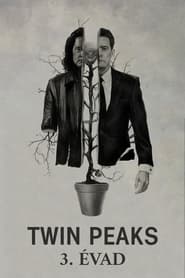 Twin Peaks 3. évad 9. rész