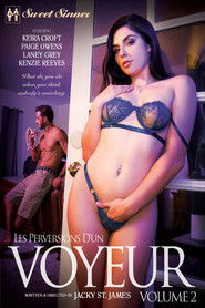 Les perversions d'un voyeur 2