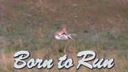 Born to Run