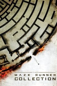 Maze Runner: Prova de Fogo Dublado Online