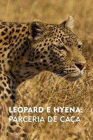 Image Leopardo e Hiena: Parceria de Caça