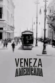 Poster The American Venice 1925