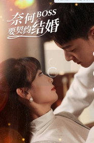 奈何BOSS要契约结婚 Season 1 poster