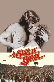 Poster A Star Is Born 1976