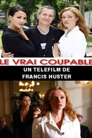 Poster Le Vrai Coupable