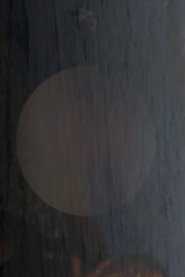 This is How We Dream: Dream of a Seed