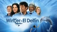 Dolphin Tale