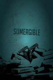 Poster Submersible 2020