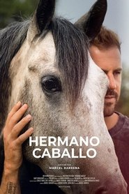Hermano Caballo