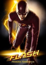 The Flash - Season 1 Episode 11 : The Sound and the Fury