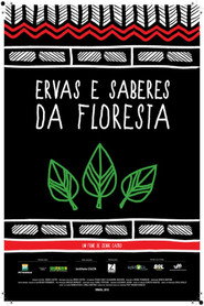 Ervas e Saberes da Floresta