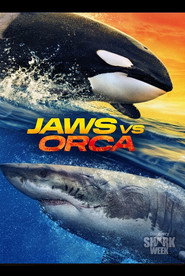 Jaws vs. Orca