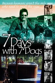 Poster 7 Days with 7 Dogs 2007