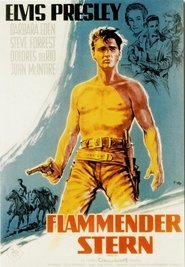 Poster Flammender Stern