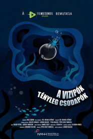 MongoDB.Entities.FuzzyString