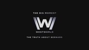 The Big Moment: The Truth About Bernard