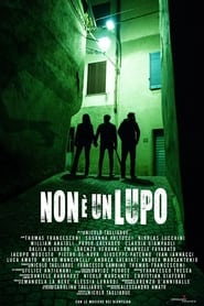 Poster Non è un lupo