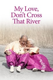 Poster My Love, Don't Cross That River