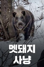 Poster Wild Boar Hunting 2016