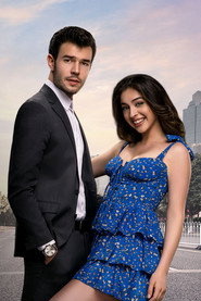 Twist of Fate poster
