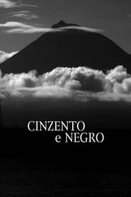 Poster Cinzento e Negro