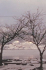 Phenomenology of a Japanese city