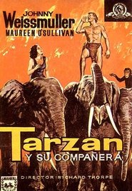 Tarzán y su compañera poster