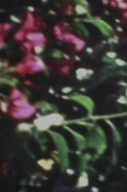 Poster for Diaspora Ethiopia