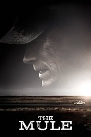 The Mule (2018) The Mule (2018)