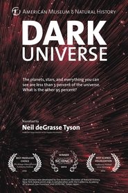 Poster Dark Universe 2013