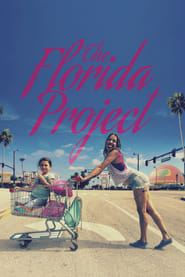Проект «Флорида» постер
