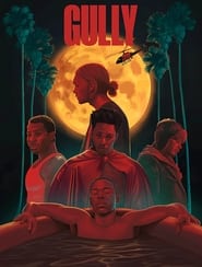 Poster for Gully