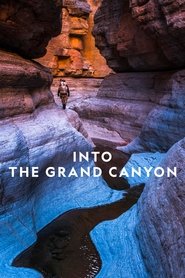 Into the Canyon постер