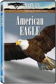 Poster PBS Nature - American Eagle 1970
