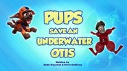 Pups Save an Underwater Otis