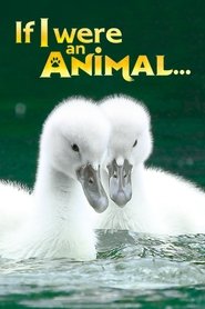 If I were an Animal സീസൺ 1