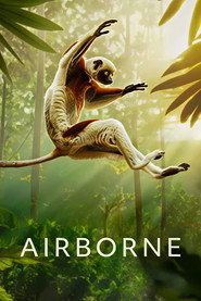 Airborne постер