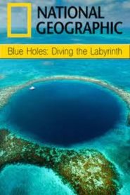 Poster Blue Holes: Diving The Labyrinth 2010