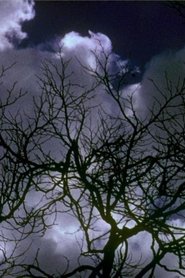 Kodachrome Dailies from the Time of Song and Solitude (Reel 2) 2006