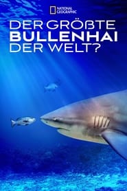 Poster World's Biggest Bull Shark?