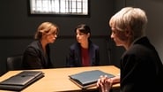 Aflevering 1