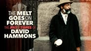 The Melt Goes on Forever: The Art & Times of David Hammons